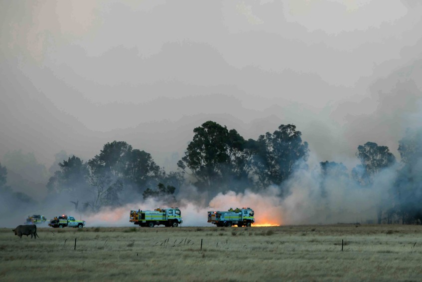 Bushfire2Jan20