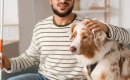 National Disability Insurance Scheme bill requires further work