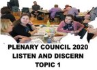 Plenary 2020 - Snapshot Reports
